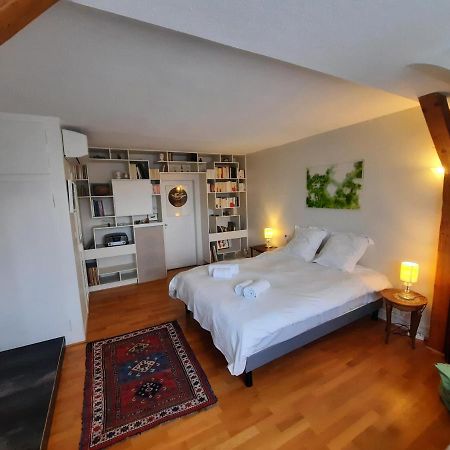 145M² City Center 4 Bedrooms View Of The Cathedral Strasbourg Luaran gambar