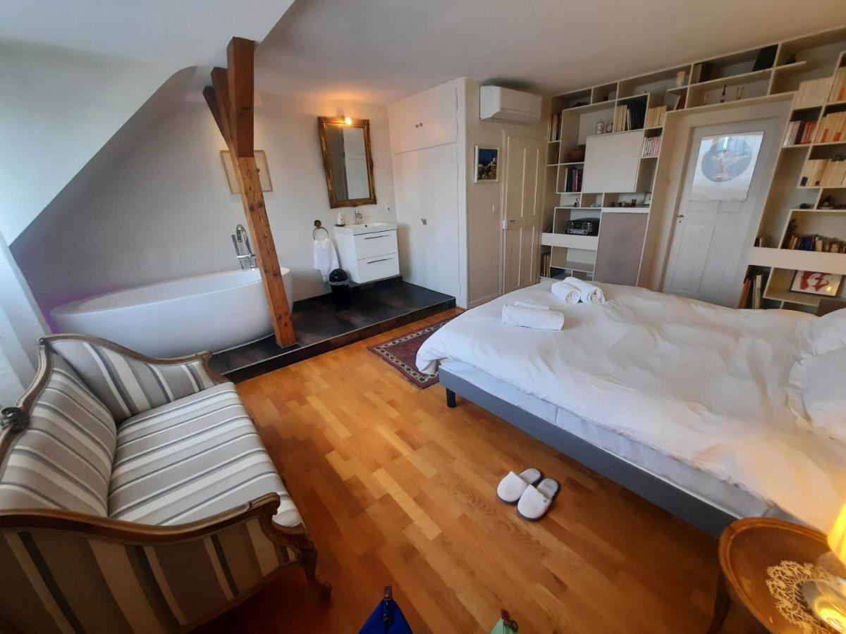 145M² City Center 4 Bedrooms View Of The Cathedral Strasbourg Luaran gambar
