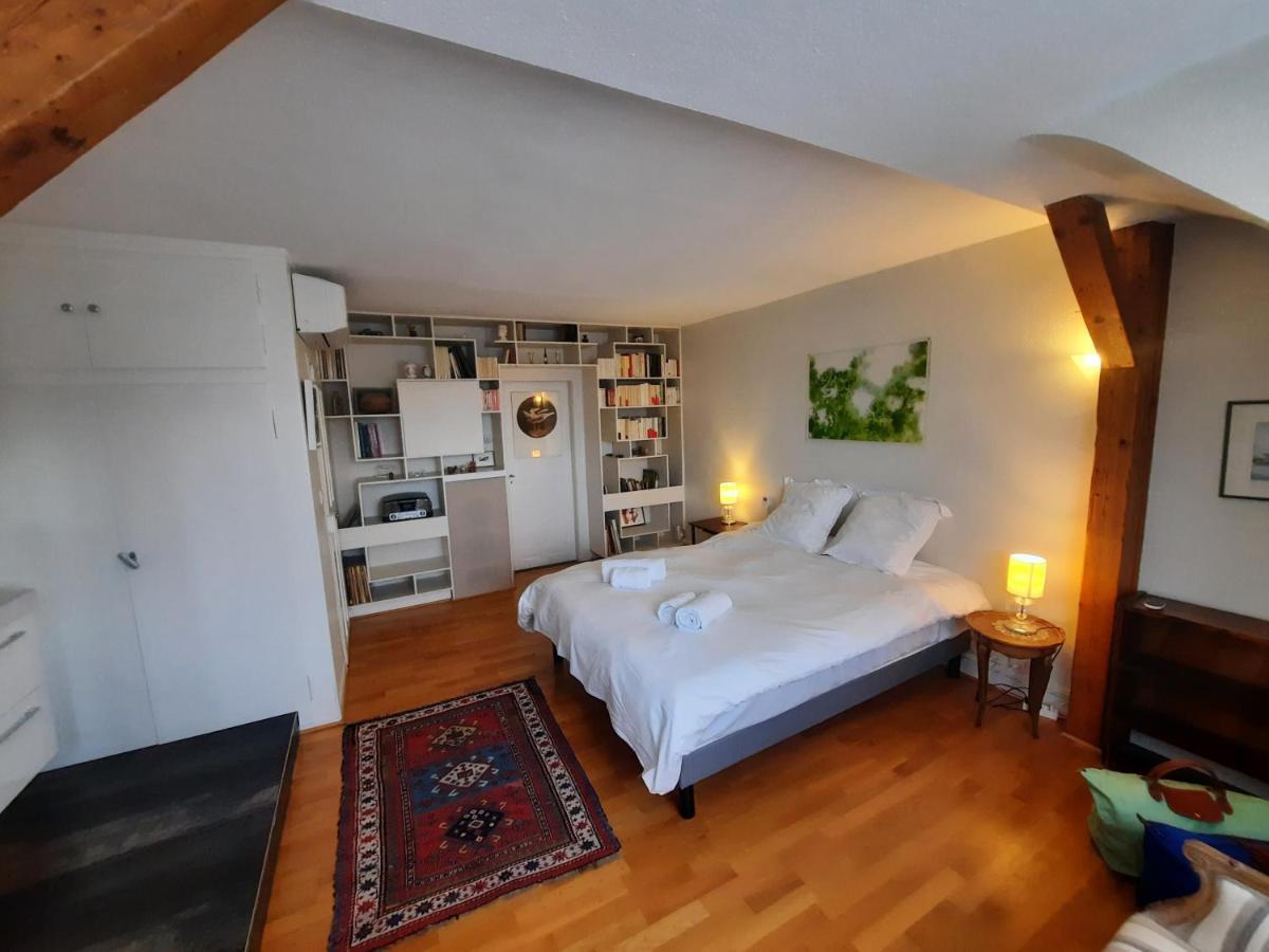 145M² City Center 4 Bedrooms View Of The Cathedral Strasbourg Luaran gambar