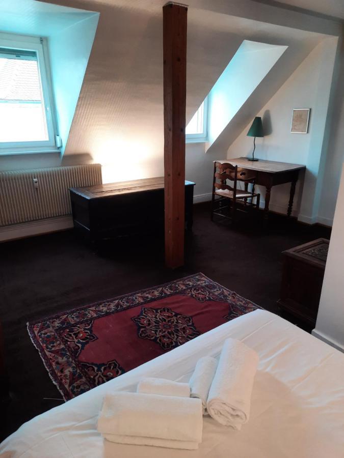 145M² City Center 4 Bedrooms View Of The Cathedral Strasbourg Luaran gambar
